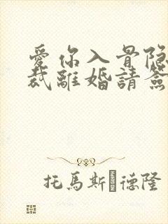 爱你入骨隐婚总裁离婚请签字