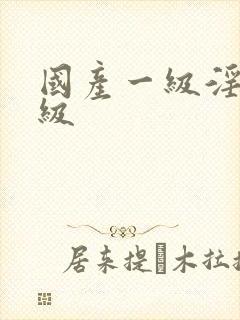 国产一级淫片a级