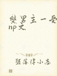 双男主一受多攻np文