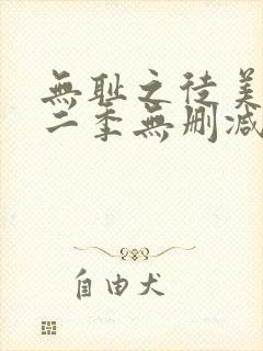 无耻之徒美版第二季无删减在线播放
