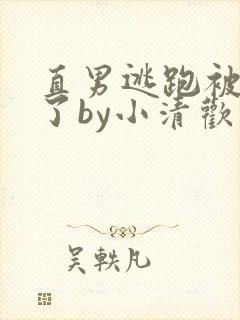 直男逃跑被囚禁了by小清欢免费阅读最
