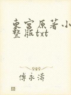 东宫原著小说完整版txt