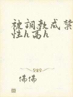 被调教成禁脔双性h高h