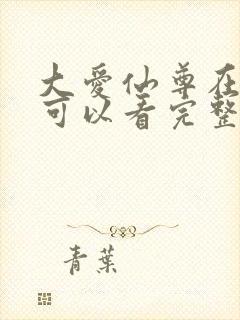 大爱仙尊在哪里可以看完整版