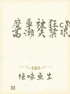 魔尊被狂c躁到高潮失禁眠春浅