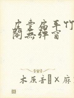 皮囊扁平竹笔趣阁无弹窗封面
