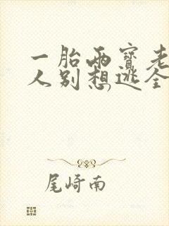一胎两宝老婆大人别想逃全文免费阅读封面