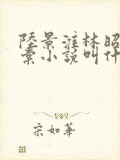 陆景淮林昭沈千棠小说叫什么名字