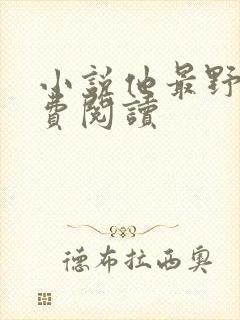 小说他最野了免费阅读封面