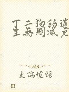 丁二狗的逍遥人生无删减免费阅读