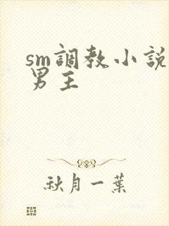 sm调教小说双男主