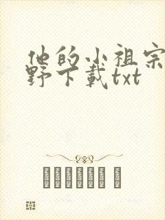 他的小祖宗甜又野下载txt封面