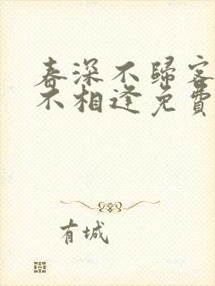 春深不归客清梦不相逢免费小说