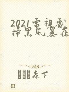 2021电视剧扫黑风暴在线观看25集