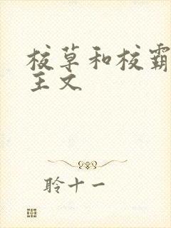 校草和校霸双男主文