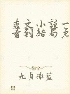 爽文小说一口气看到结局免费封面