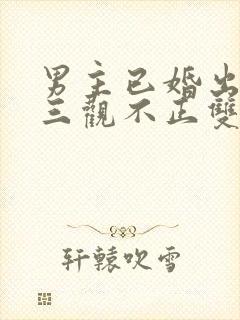 男主已婚出轨受三观不正双男主封面