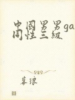 中国男男gay同性三级