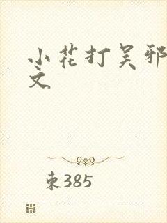 小花打吴邪训诫文封面