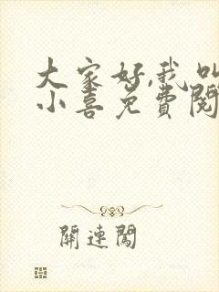 大家好,我叫林小喜免费阅读封面