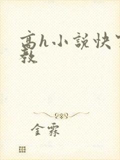 高h小说快穿调教