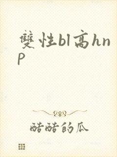 双性bl高hnp