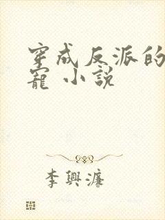 穿成反派的心尖宠 小说