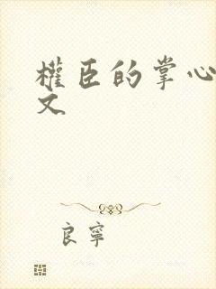 权臣的掌心宠全文