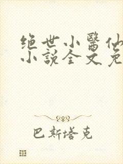 绝世小医仙张冬小说全文免费阅读封面