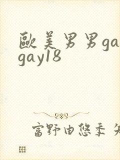 欧美男男gaygay18