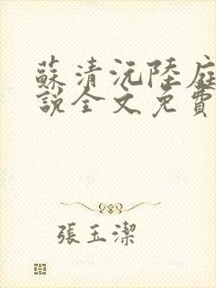 苏清沅陆庭渊小说全文免费阅读封面