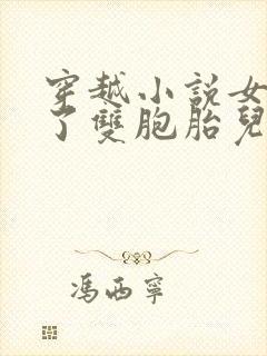 穿越小说女主生了双胞胎儿子