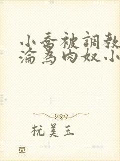 小乔被调教喷水沦为肉奴小说