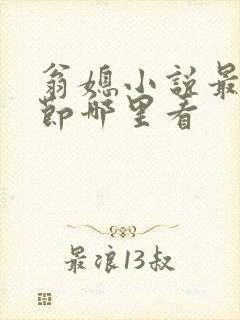 翁媳小说最新章节哪里看封面