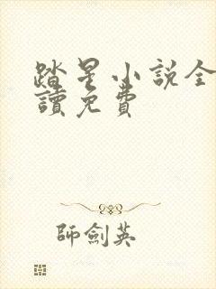 踏星小说全文阅读免费
