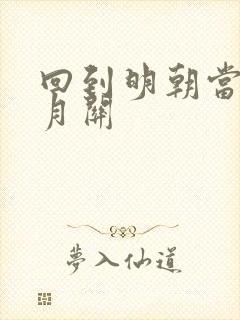 回到明朝当王爷月关封面