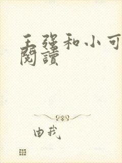 王强和小可全文阅读封面