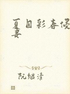 夏目彩春侵犯人妻封面