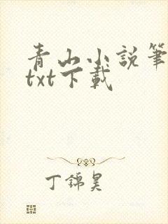 青山小说笔趣阁txt下载