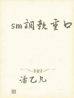 sm调教重口文