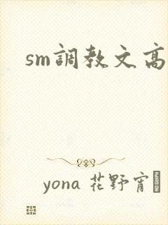 sm调教文高h