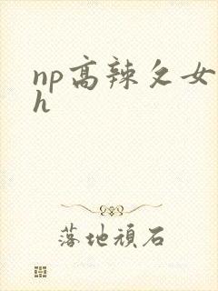 np高辣攵女伦h