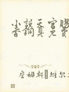 小说天官赐福墨香铜臭免费全文下载