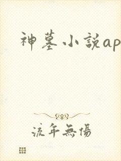 神墓小说app