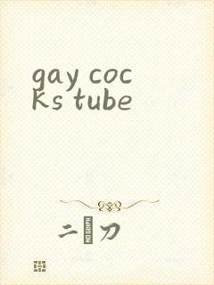 gay cocks tube