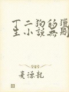 丁二狗的猎艳人生小说无删减小说