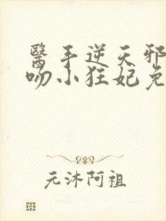 医手逆天邪王毒吻小狂妃免费阅读