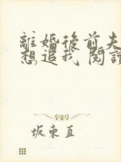 离婚后前夫总是想追我 阅读封面