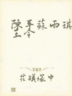 陈平苏雨琪 龙王令封面