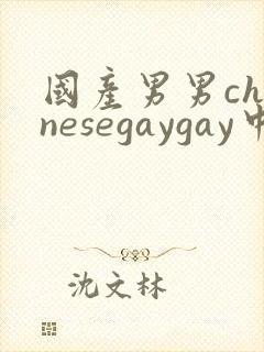 国产男男chinesegaygay中国帅哥网站